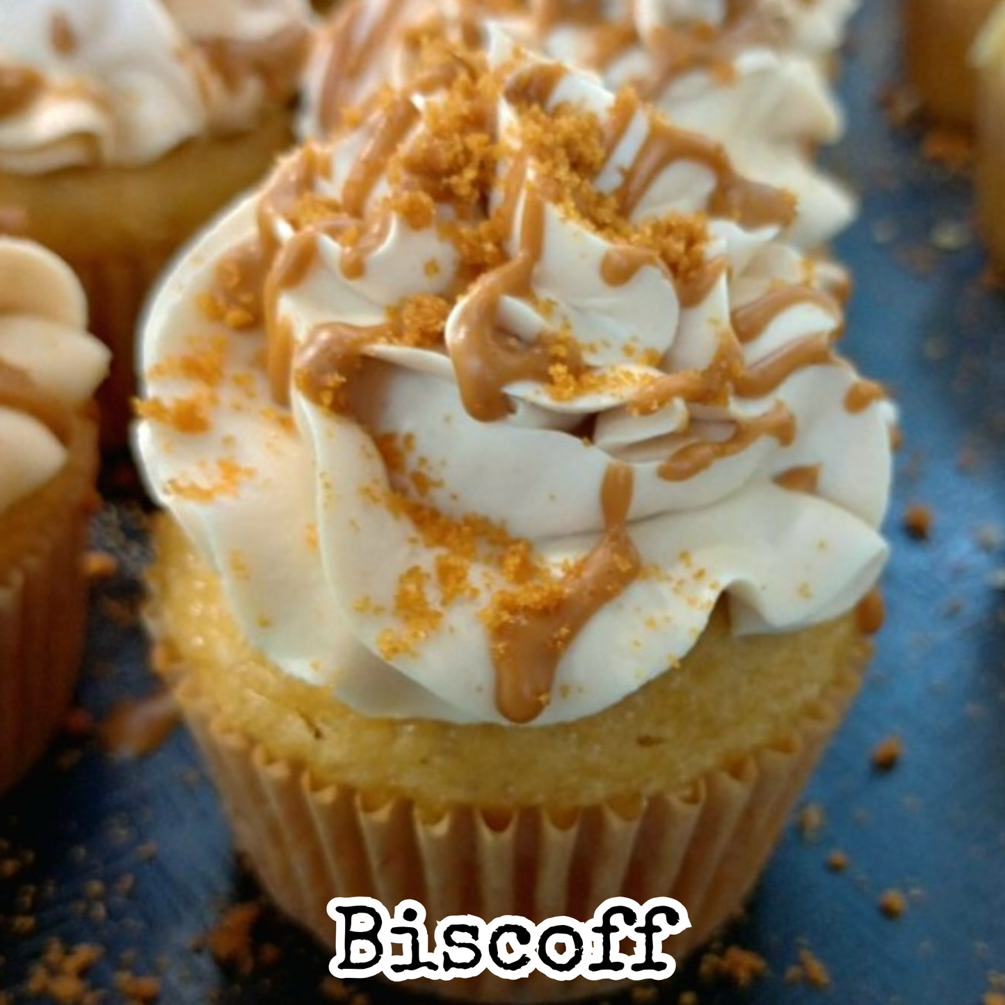Half Dozen Cupcake Box
