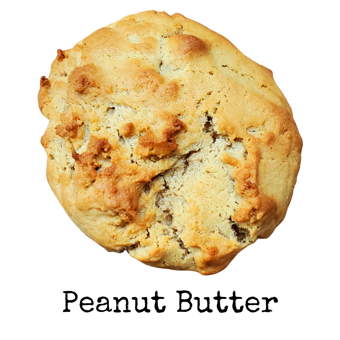Small Cookie Box- 6 Pack